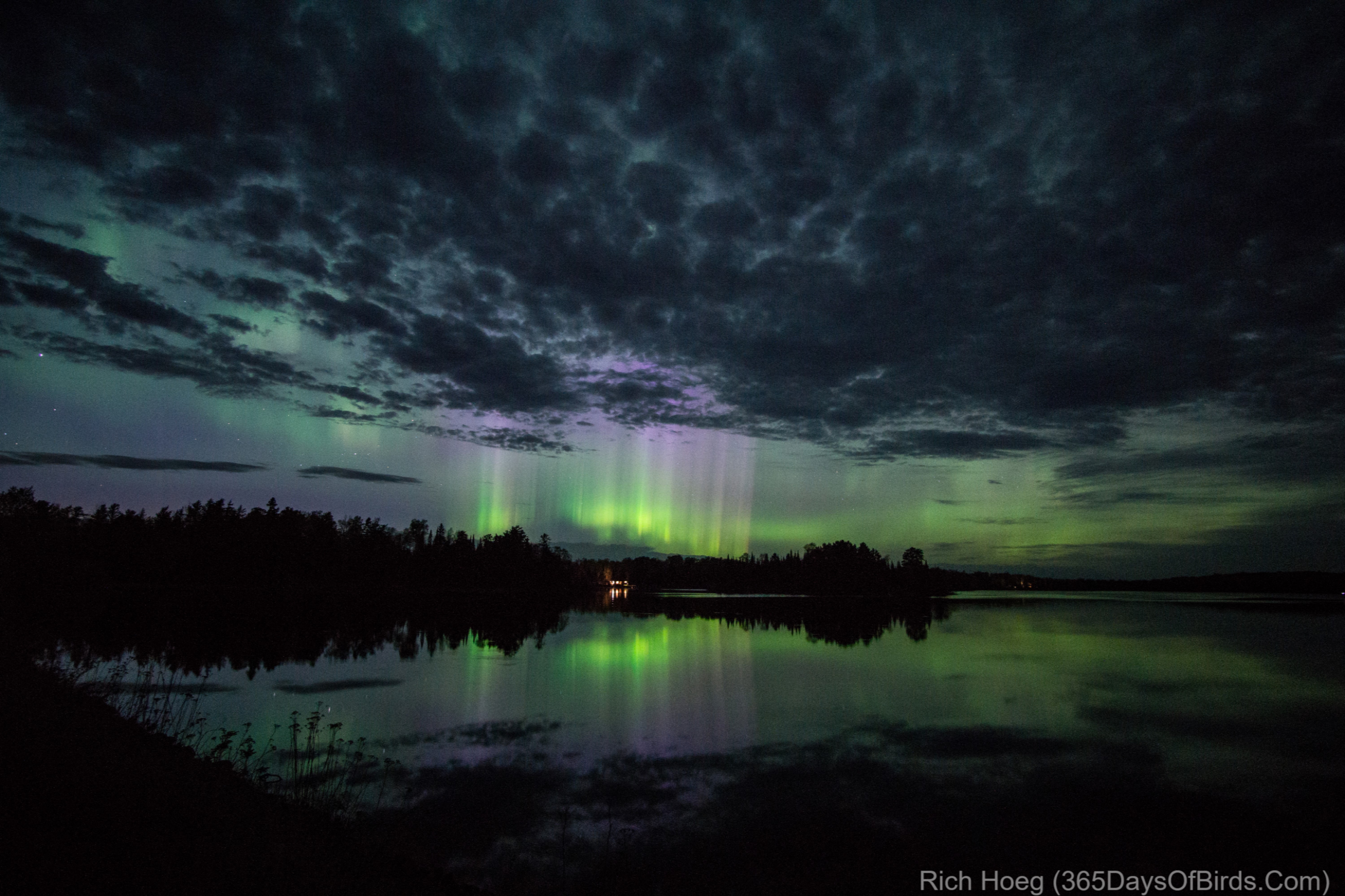 Minnesota Northern Lights Viewing and Photography 365 Days of Birds
