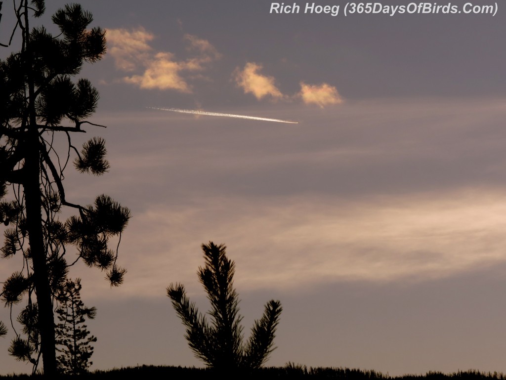 032-Birds-365-Sunset-Mechanical-Bird-Trail