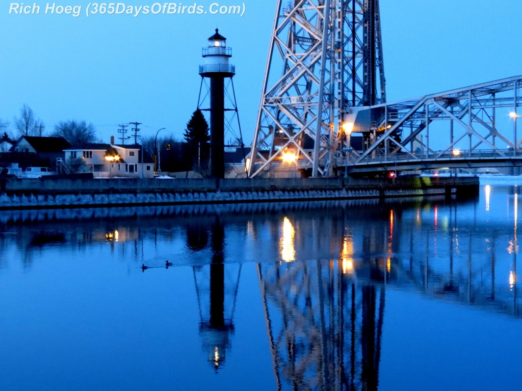 057-Birds-365-Mallard-Duo-Lighthouse