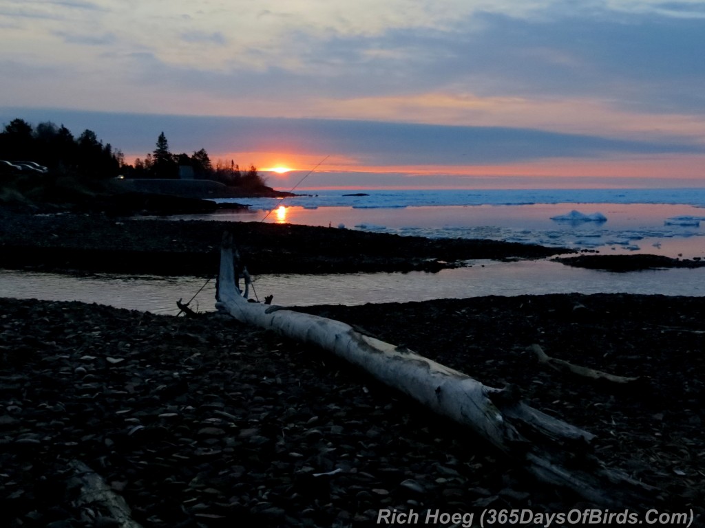 104-Birds-365-Dawn-Over-Superior