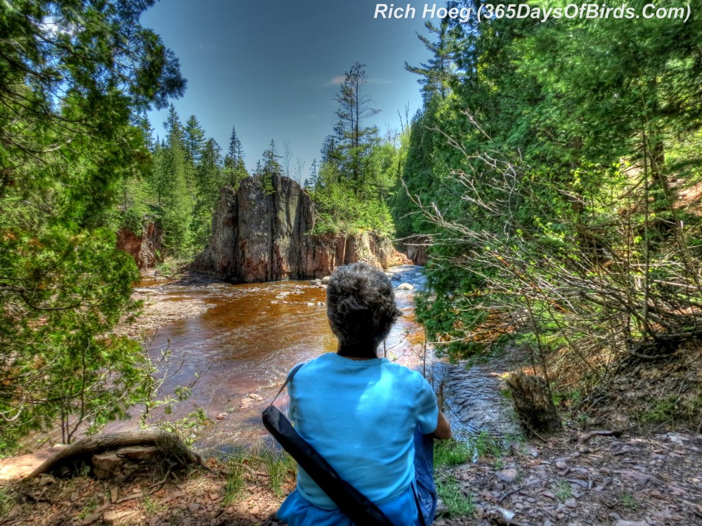 127-Birds-365-Molly-Split-Rock-River-HDR