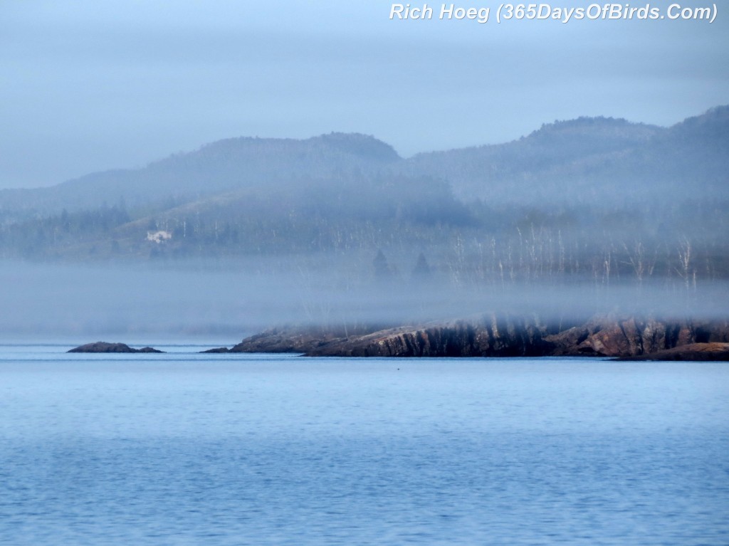 127-Birds-365-Sugarloaf-Cove-Fog