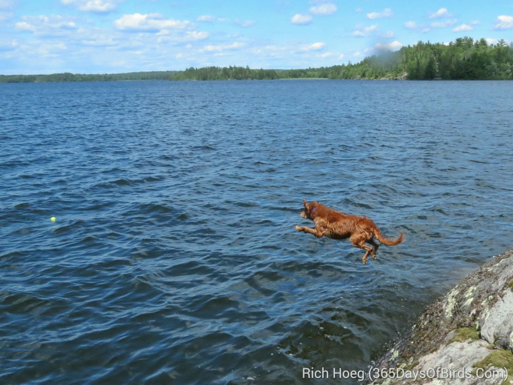 160-D4-Rainy-Lake-Rusty-1_wm