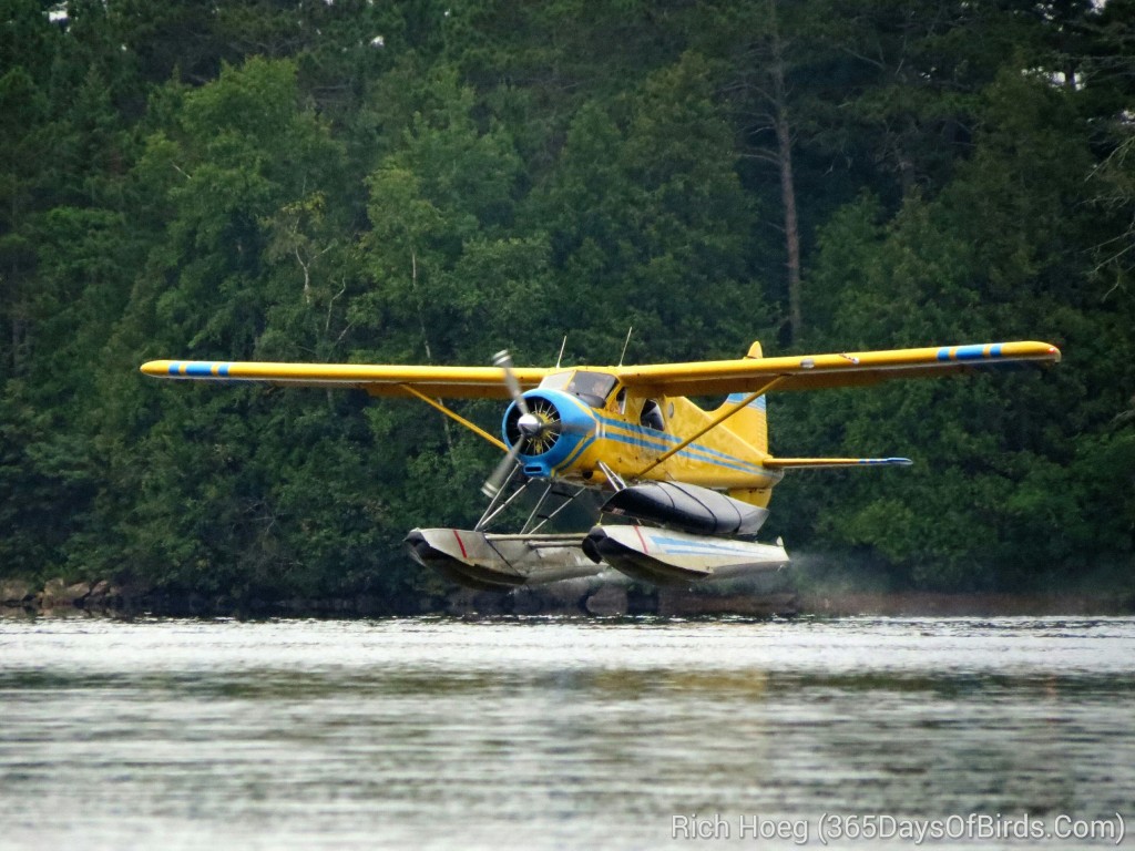 199-Birds-365-Fly-In-Outfitter-2