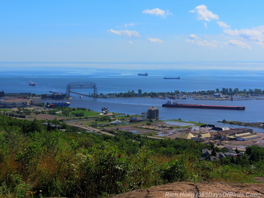 215-Birds-365-Duluth-Harbor-Skyline