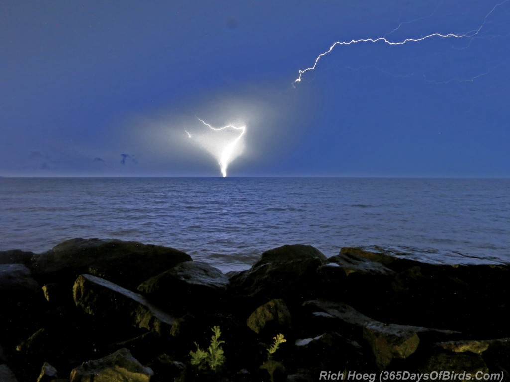 215-Birds-365-Lake-Superior-Fire-Storm-A