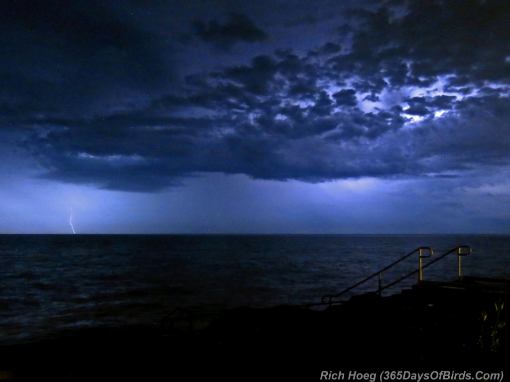 215-Birds-365-Lake-Superior-Fire-Storm-B