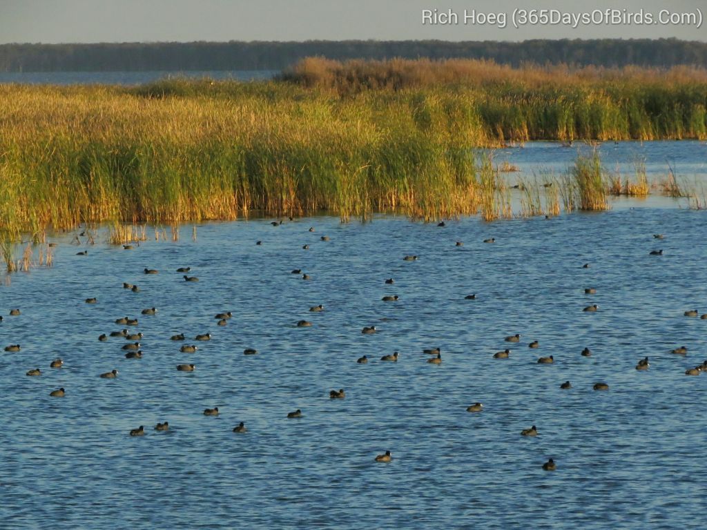 259-Birds-365-Dakota-Pothole-Migration-Sunset-2_wm