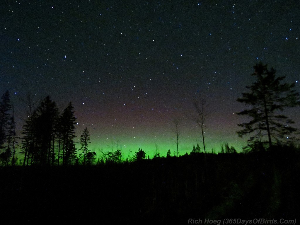 266-Birds-365-Knife-River-Northern-Lights