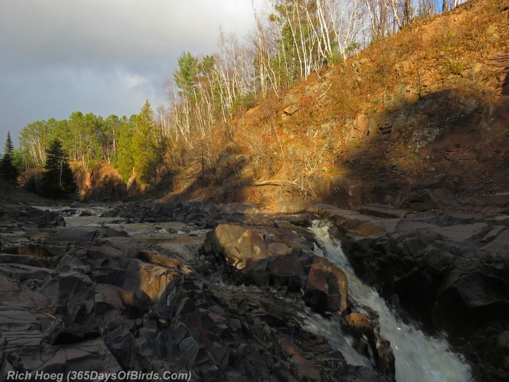 280-Birds-365-Lester-River-Last-Light