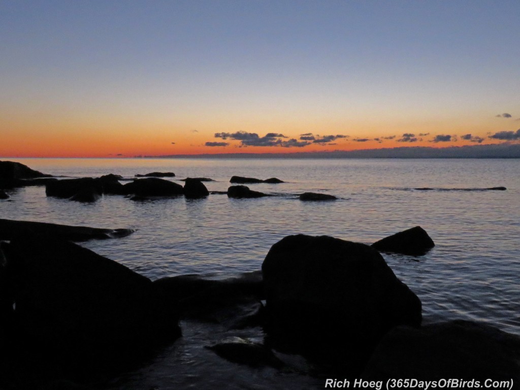 290-Birds-365-Sunrise-Brighton-Beach