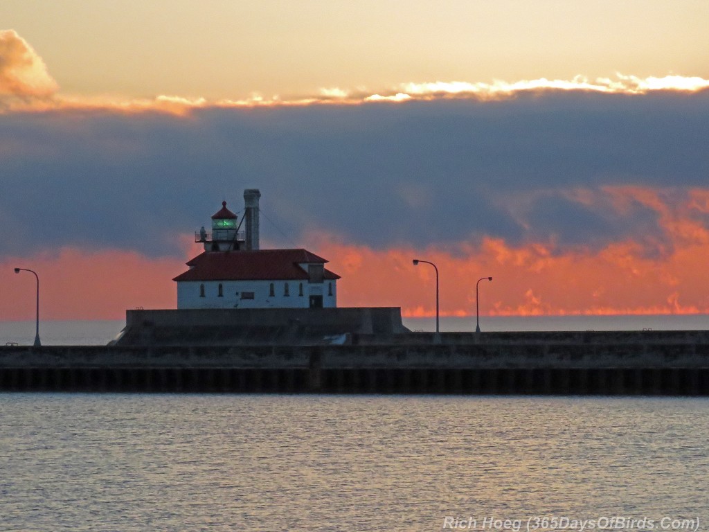 297-Birds-365-Lighthouse-Water-Spouts