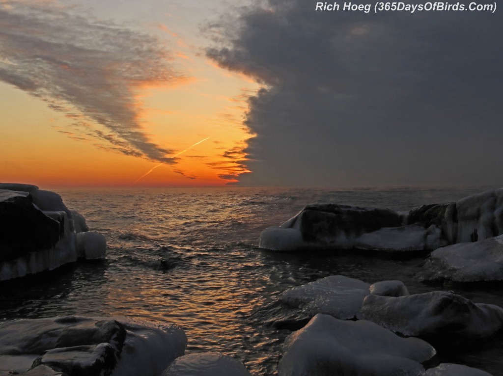 315-Birds-365-Stoney-Point-Stormrise