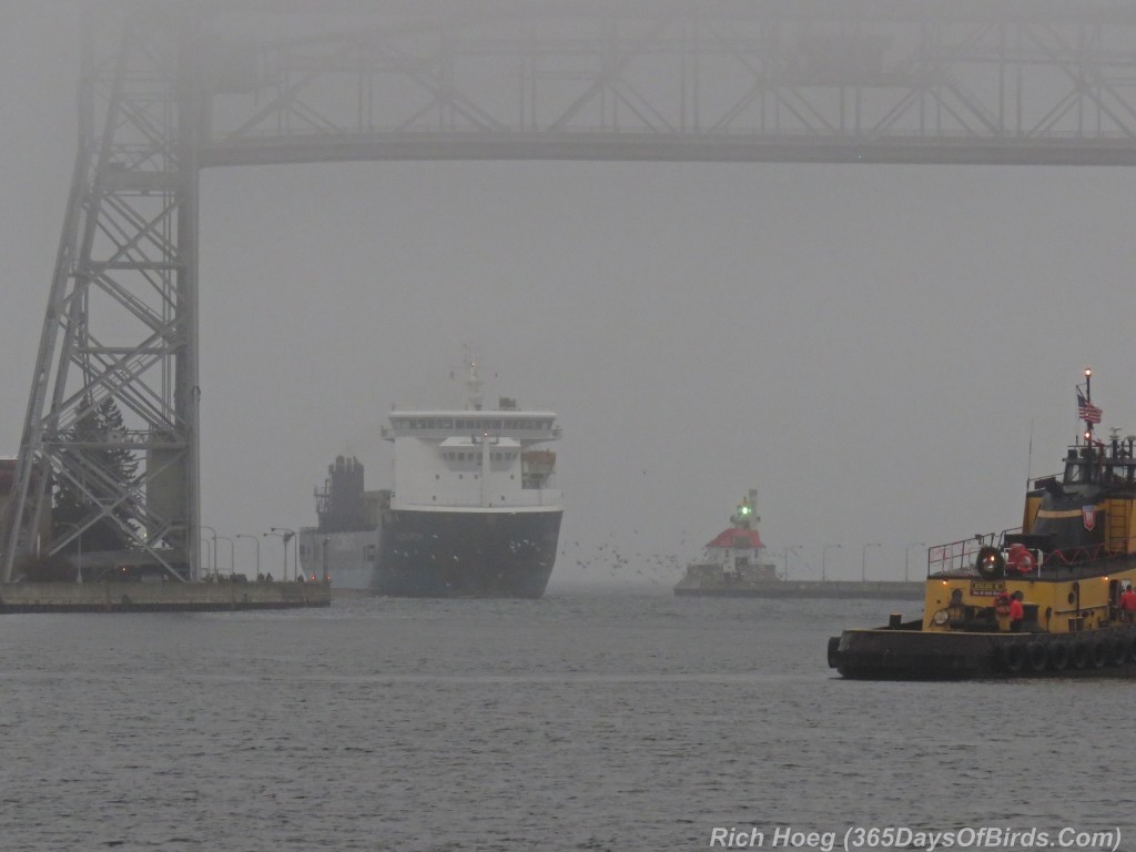 325-Birds-365-Fog-Tug-Freighter-Palmerton-3