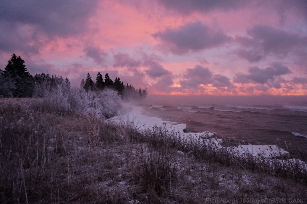 342-Birds-365-Stoney-Point-Seasmoke-Sunrise