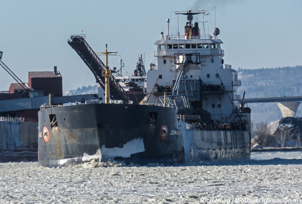 356-Birds-365-Algoma-Central-Freighter