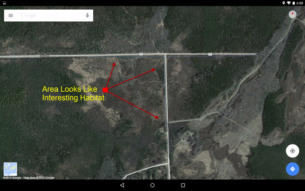 Google-Maps-Birding-Route-Detail