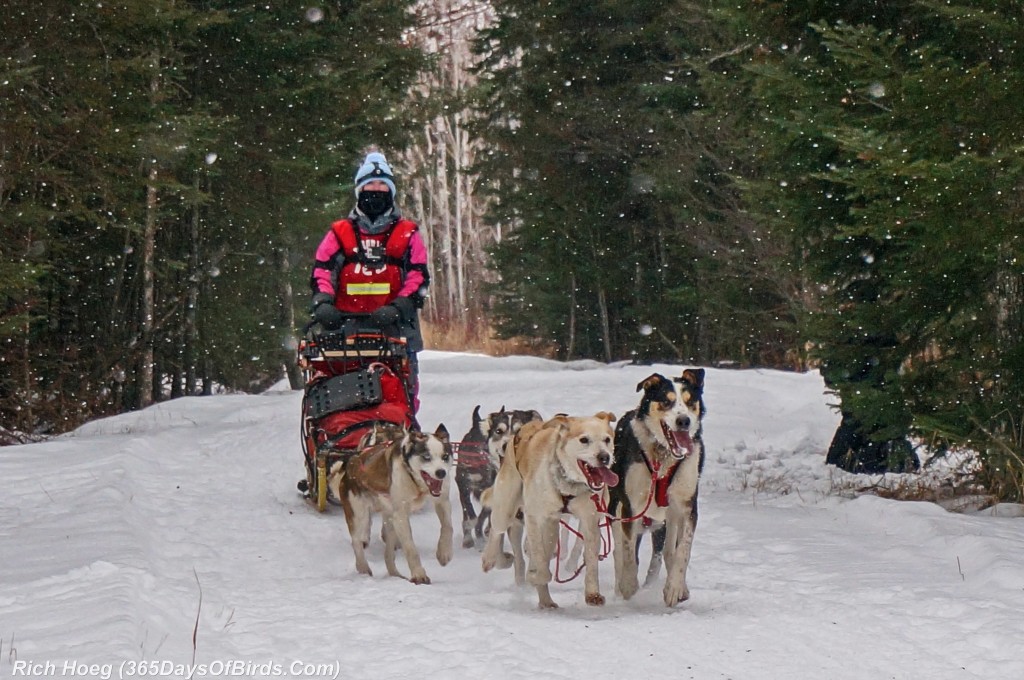 John-Beargrease-1