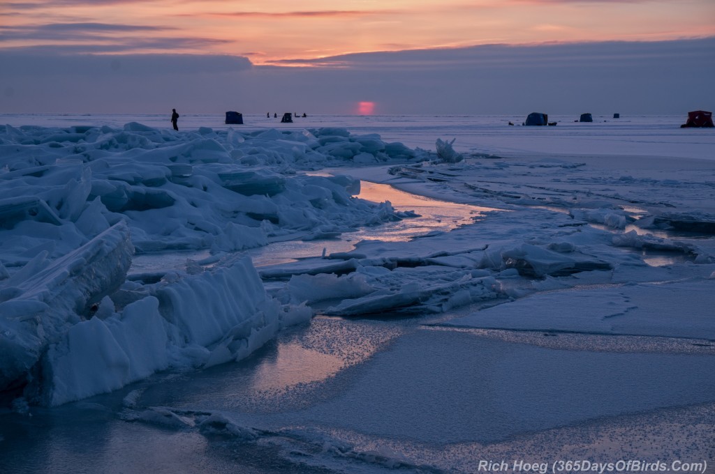 Y2-D031-Sunrise-Fish-House-2