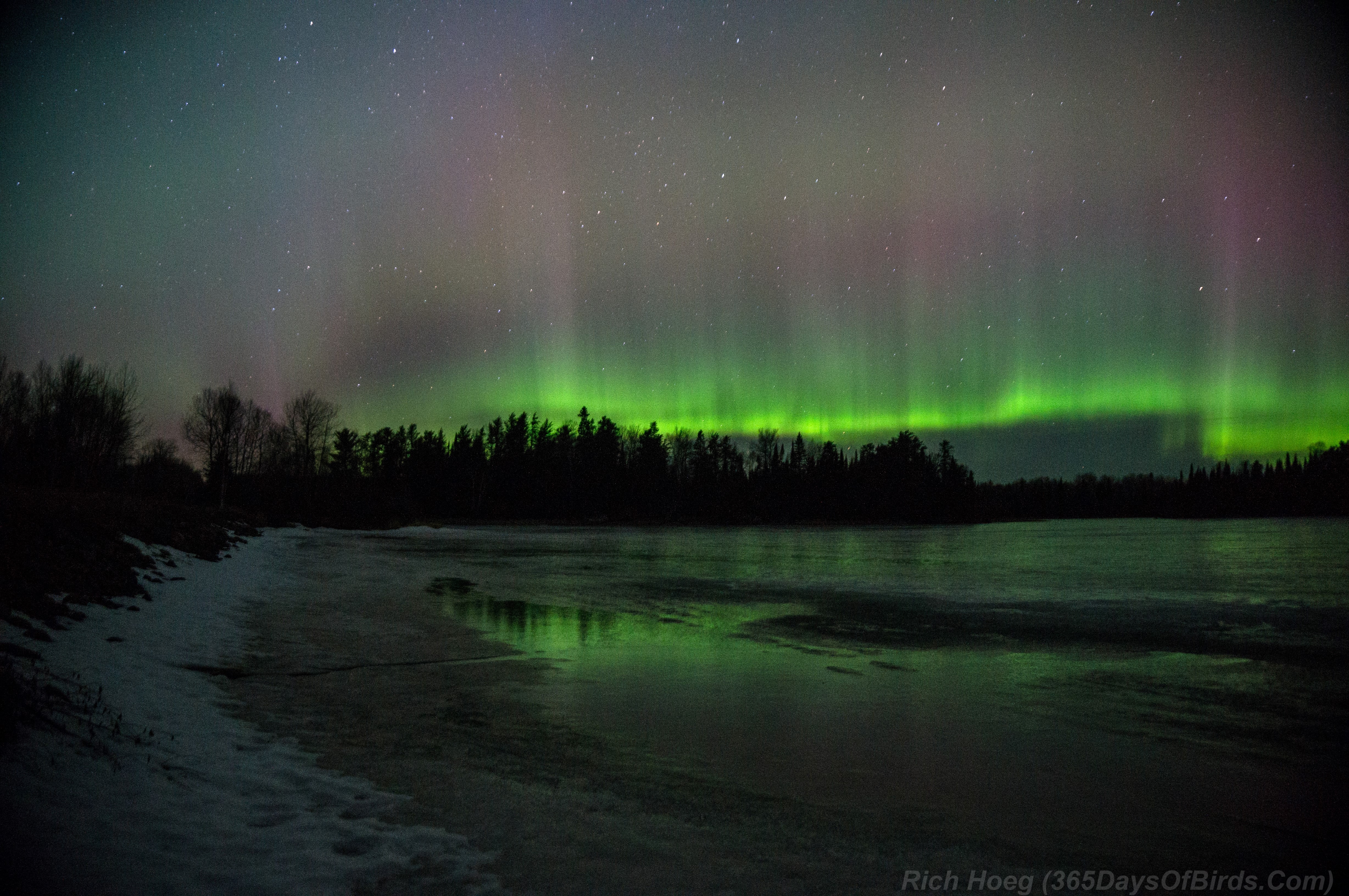 Minnesota Northern Lights Viewing and Photography 365 Days of Birds