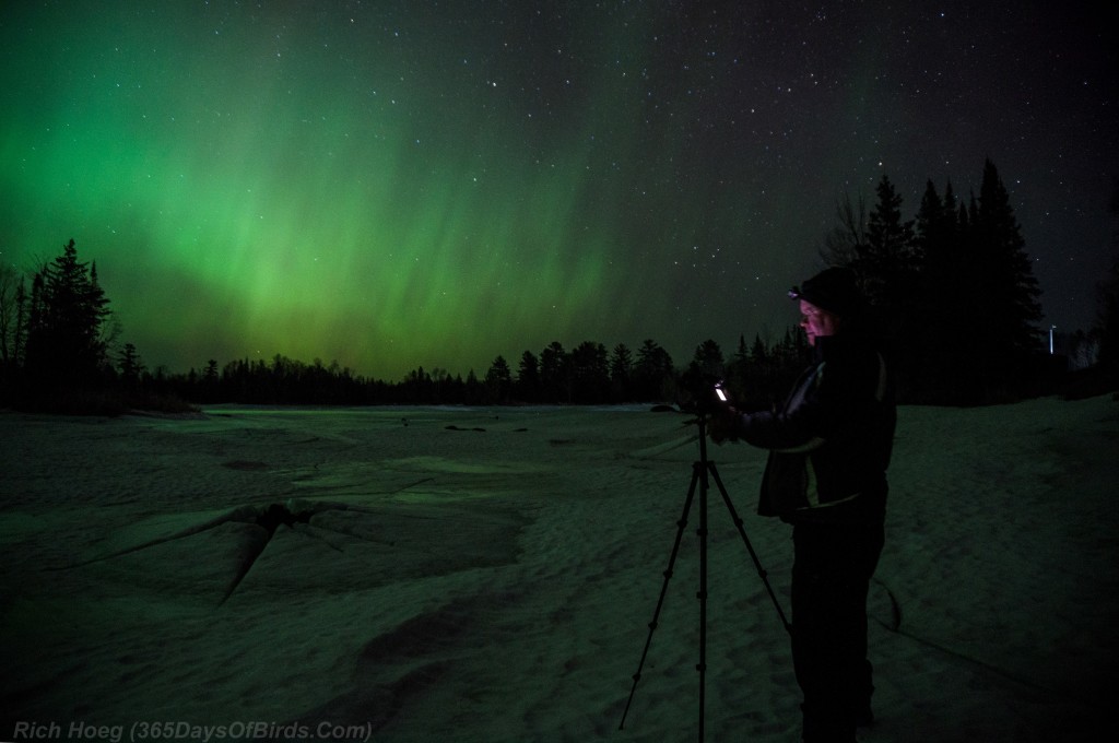 St-Patricks-Day-Aurora-01-Matt