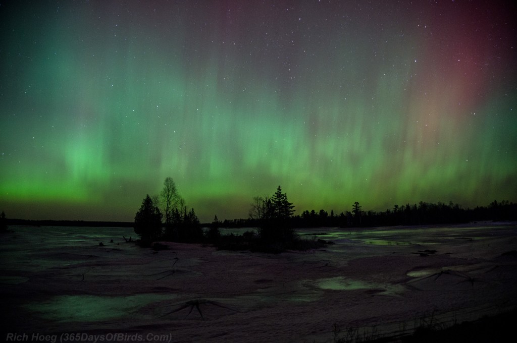 St-Patricks-Day-Aurora-02