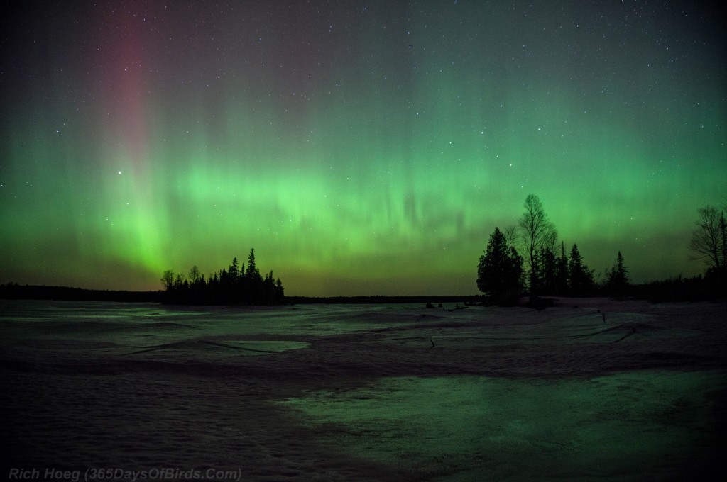 St-Patricks-Day-Aurora-03