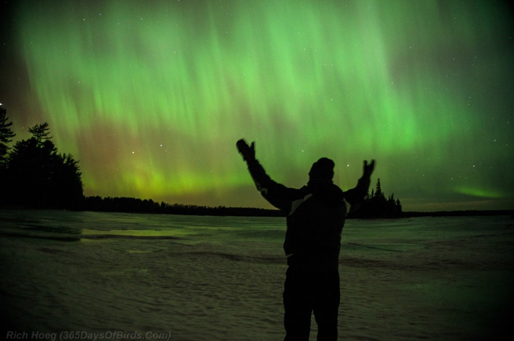 St-Patricks-Day-Aurora-05-Selfie