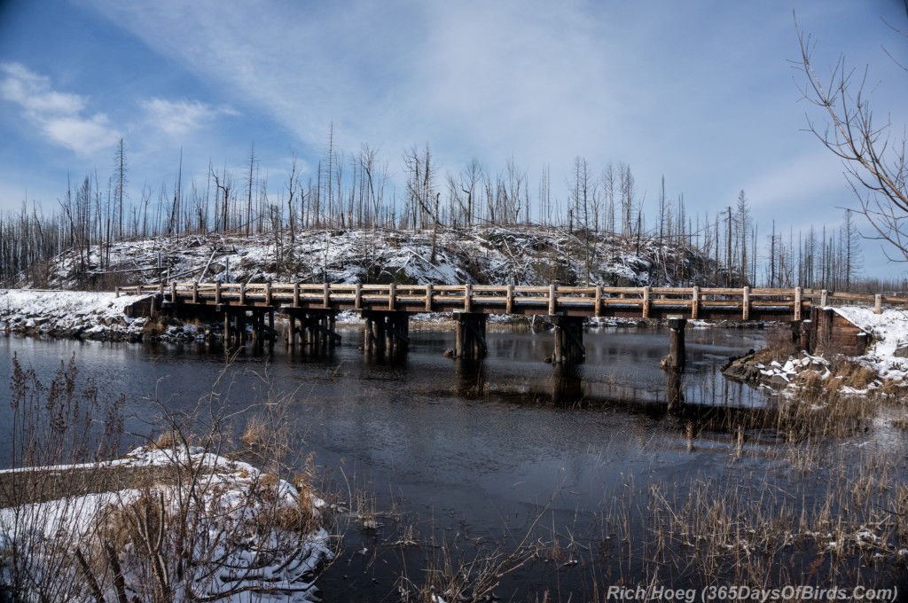 Boreal-Forest-Isabella-River-Vista