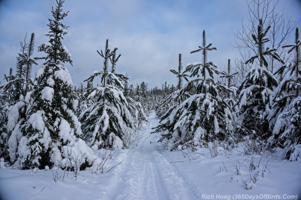 Old-Vermilion-Ski-Trail