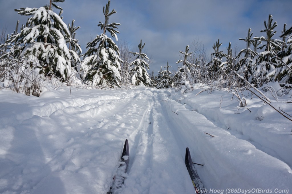Old-Vermilion-Trail-Nordic-Ski