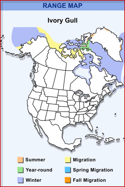 Ivory-Gull-Range-Map