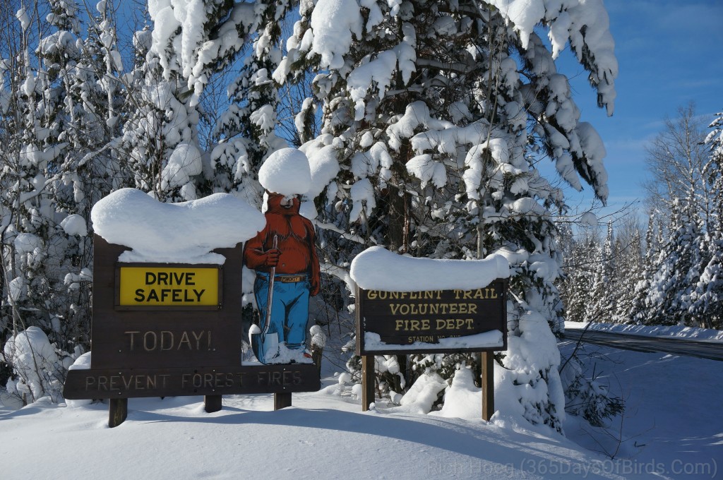 Y3-M01-Gunflint-Trail-Frozen-Smokey-the-Bear