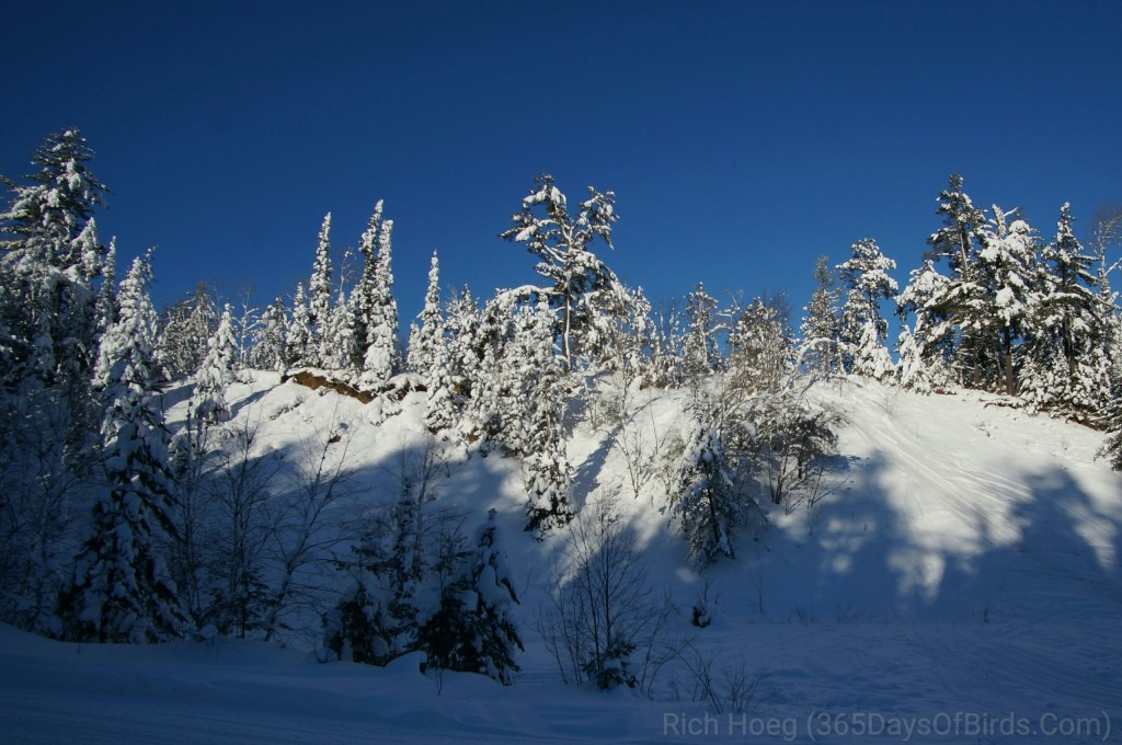 Y3-M01-Gunflint-Trail-Snow-Canyon-Palace