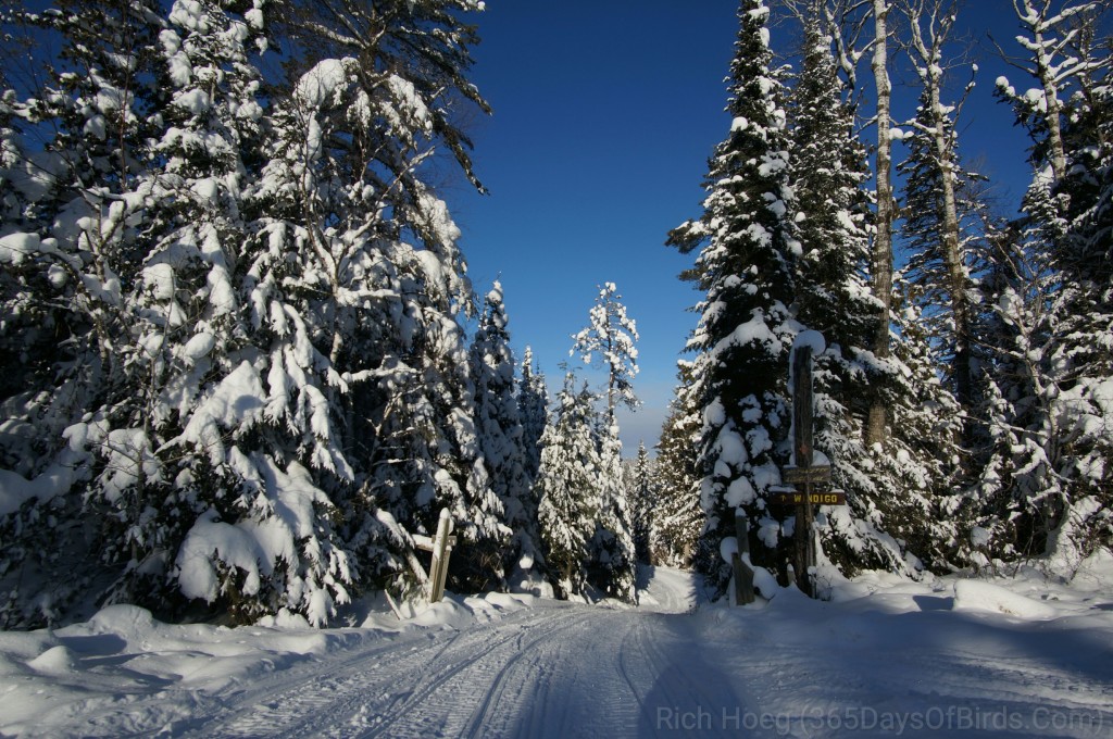 Y3-M01-Gunflint-Trail-Winter-Wonder-Trail