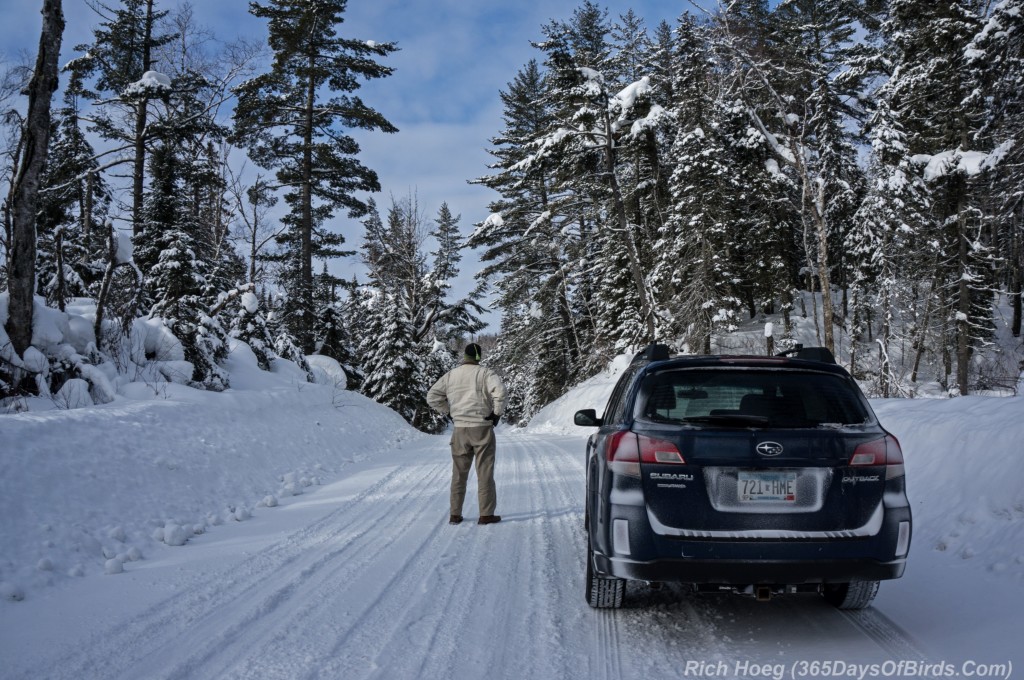 Isabella-Logging-Trail-1