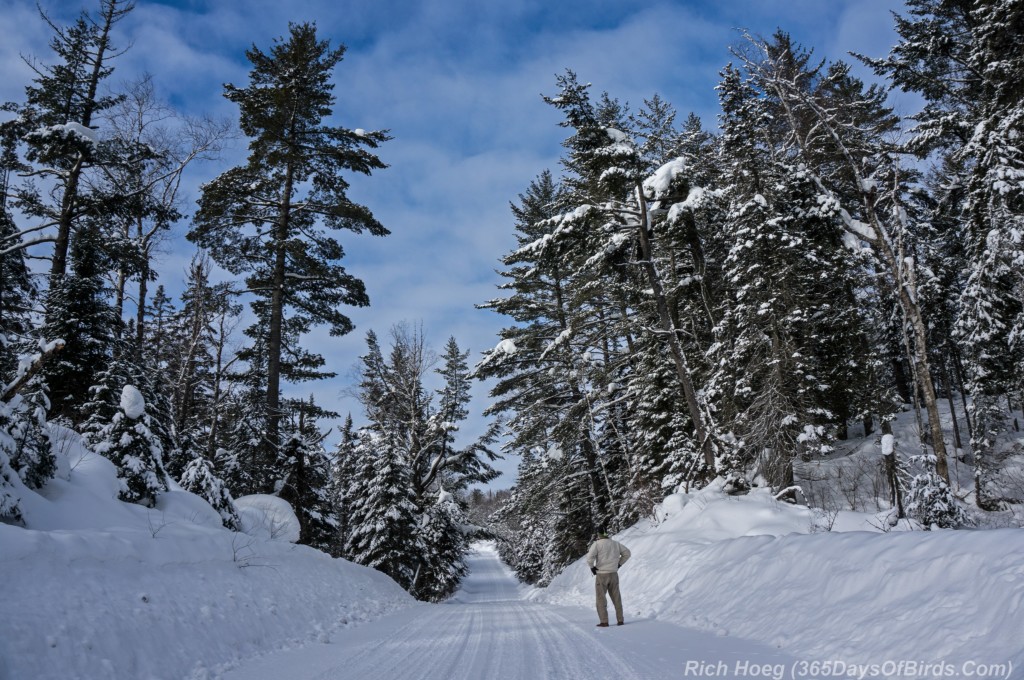 Isabella-Logging-Trail-2