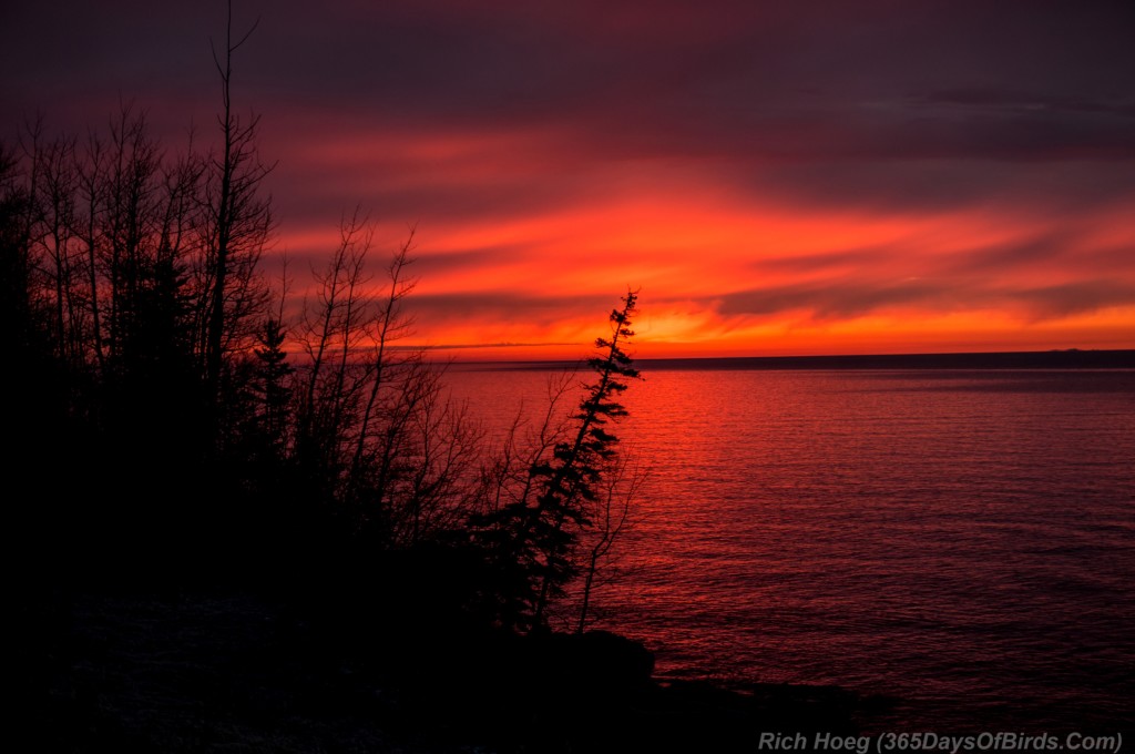 Scenic-61-Sunrise-Lone-Pine-Tree