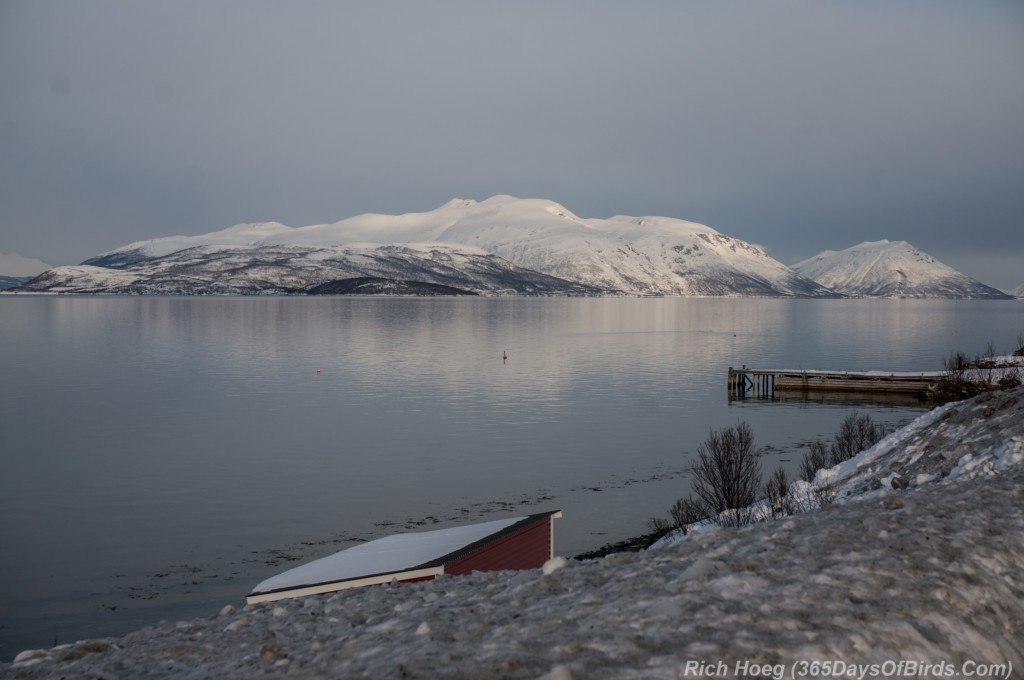 Y3-M03-Norway-Arctic-Birding-Vista-1