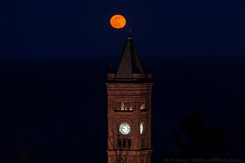 Duluth-Central-High-School-Moonrise