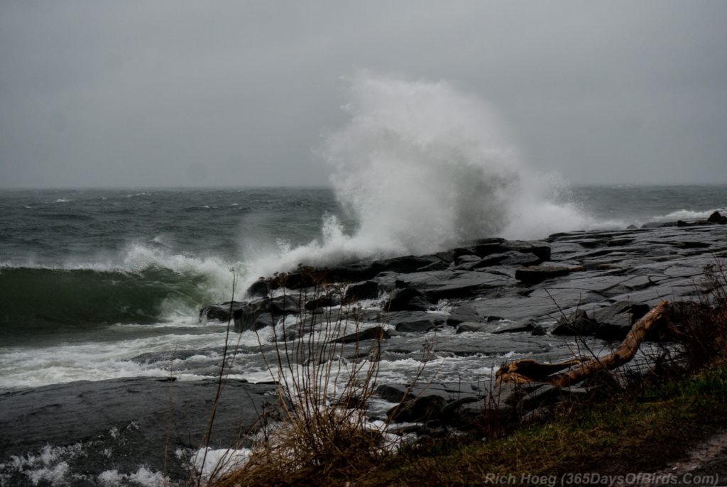 Stoney-Point-Waves-HUGE-1