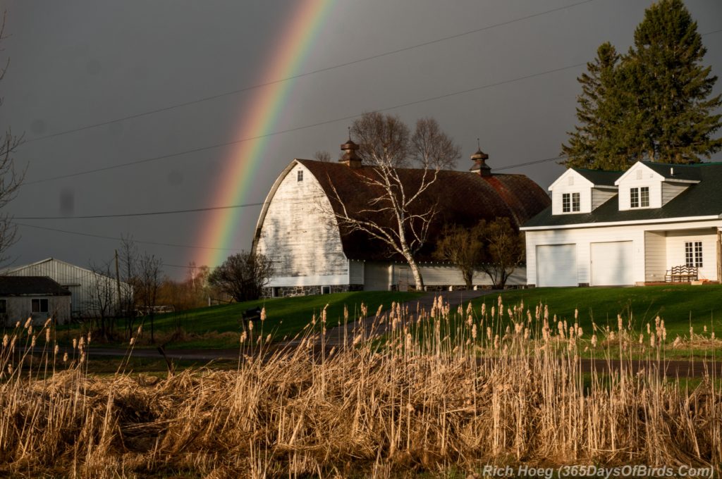 Rainbow-Sunrise-Twig - Copy