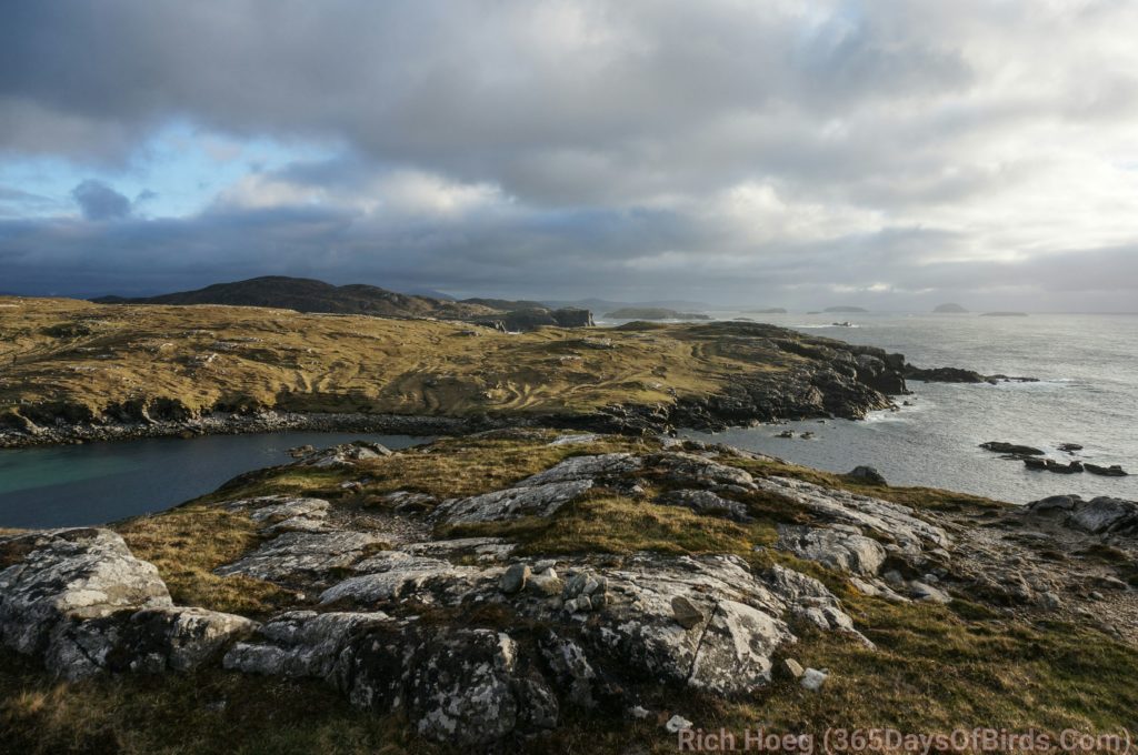 d8p-blackhouse-evening-sun-ocean-vista-cliffs_wm