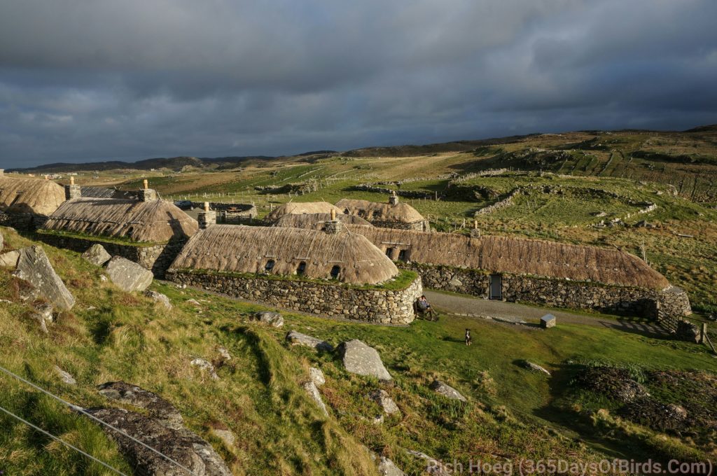 d8p-blackhouse-evening-sun_wm