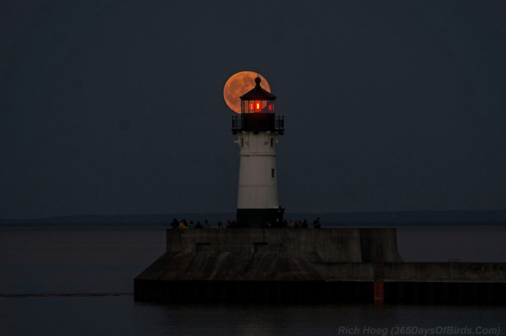 Strawberry-Moon-Canal-Park-1