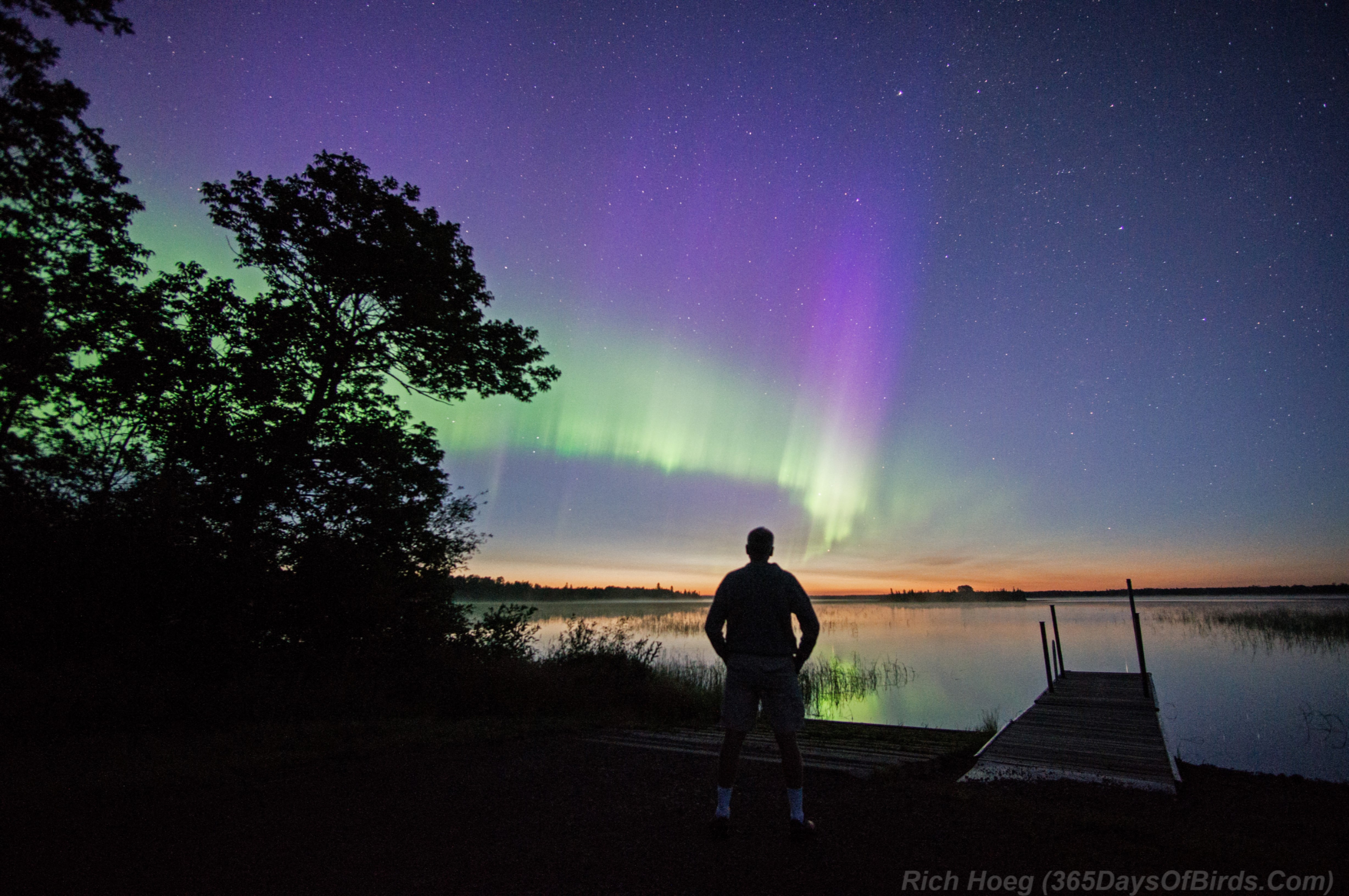 koncert Nominering Feed på Minnesota Northern Lights Viewing and Photography - 365 Days of Birds