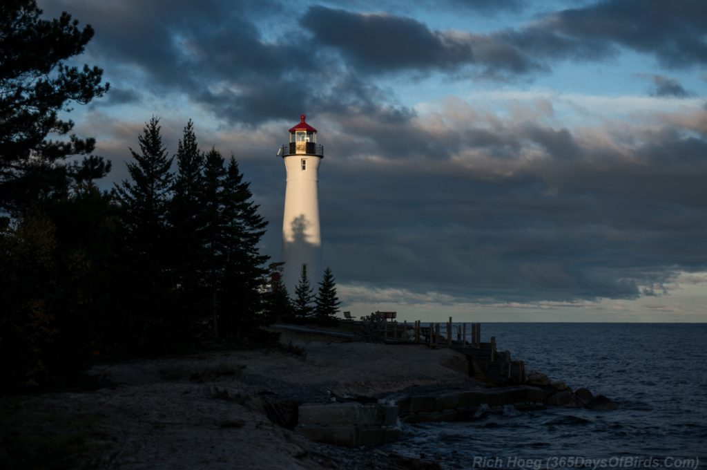 crisp-point-lighthouse-4-dawn-tree-shadow