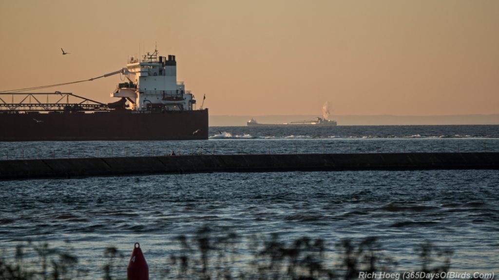 two-harbors-superior-morning-freighters-1