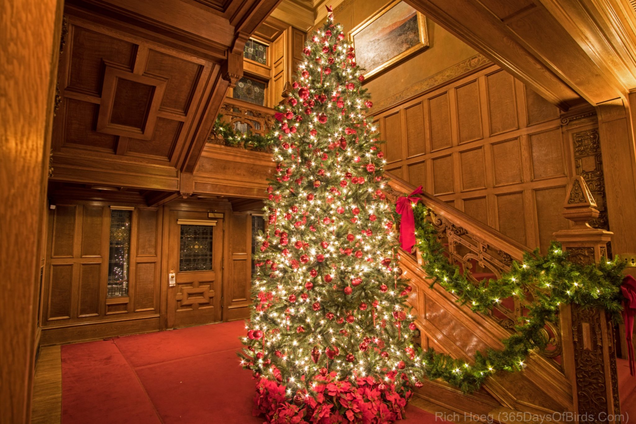 Glensheen Christmas! 365 Days of Birds