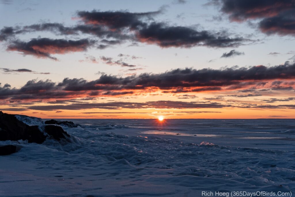 Sunrise Over the Ice Planet - 365 Days of Birds